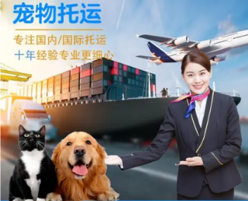 航空货物打包装车