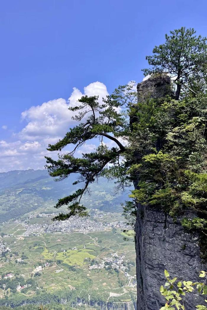 屏山峡谷碧水