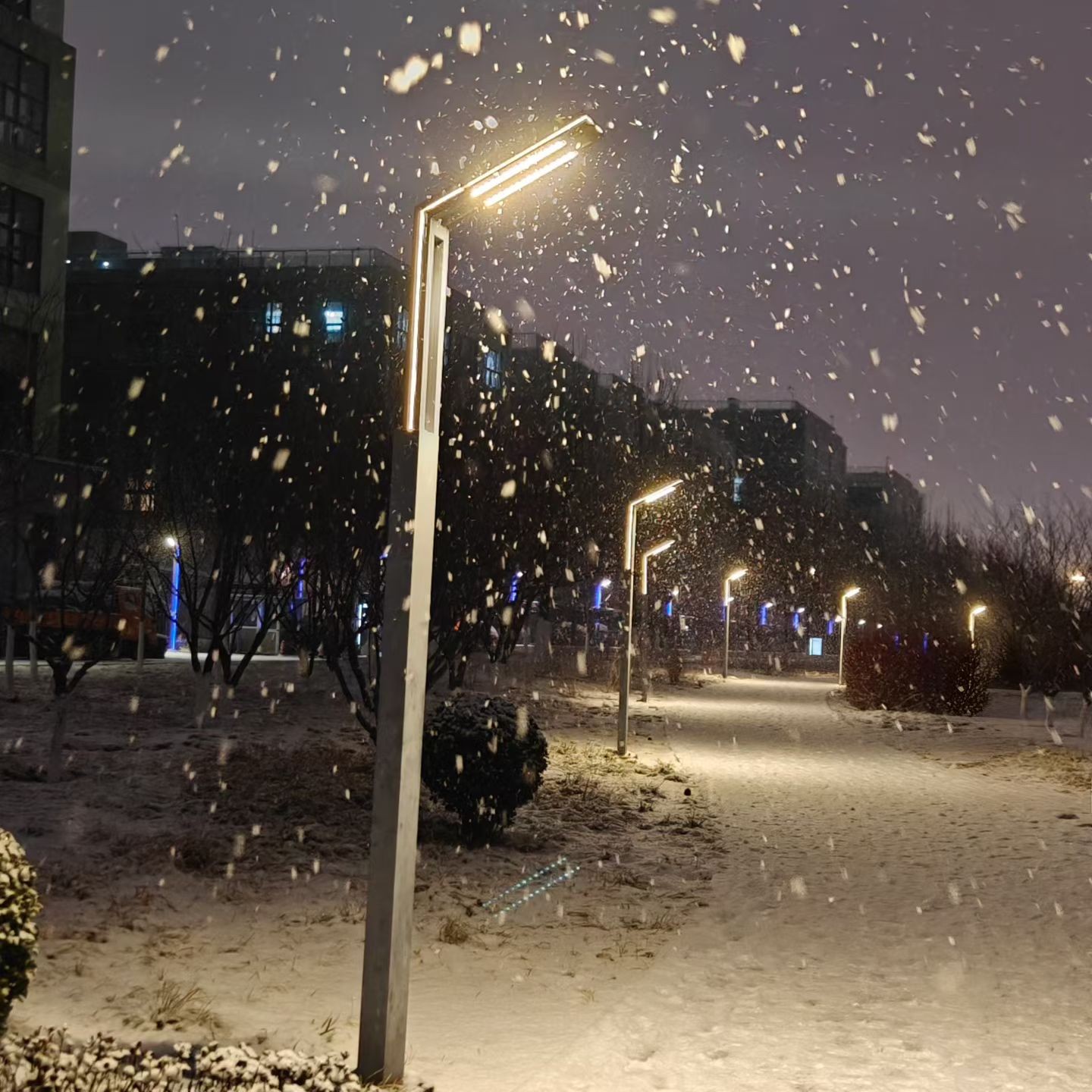 冬季养生从早餐开始